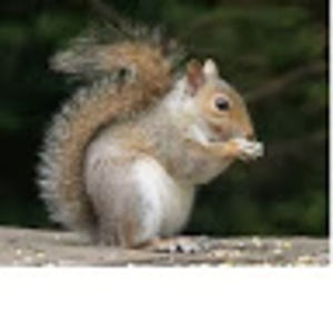 Meet your Posher, Garrett